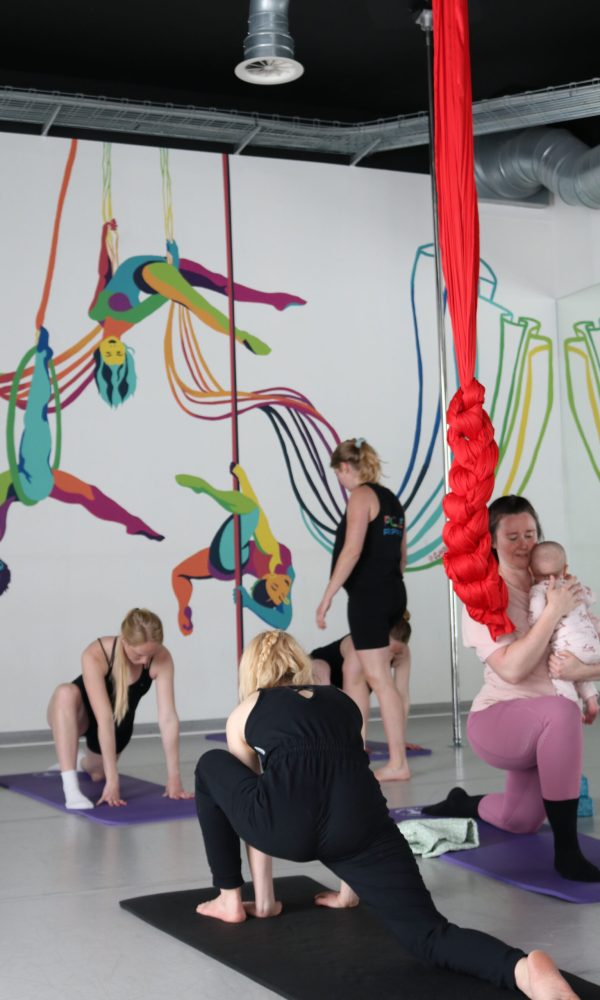 Pre and postnatal training at Pole Republic